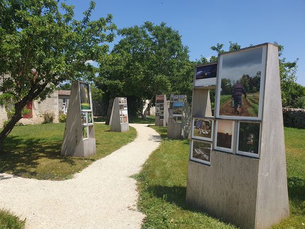 Exposition Ma Ruralité heureuse